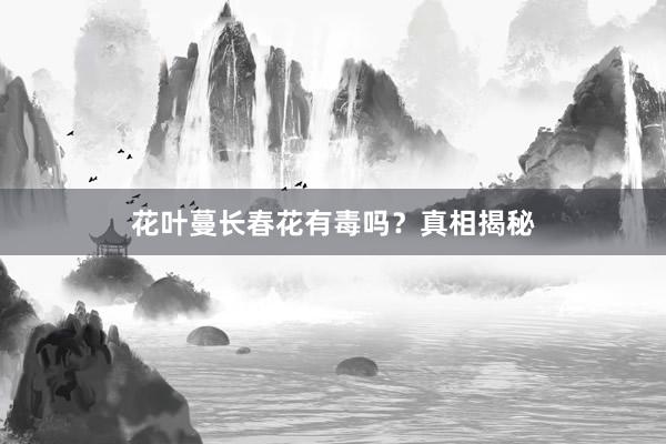 花叶蔓长春花有毒吗？真相揭秘