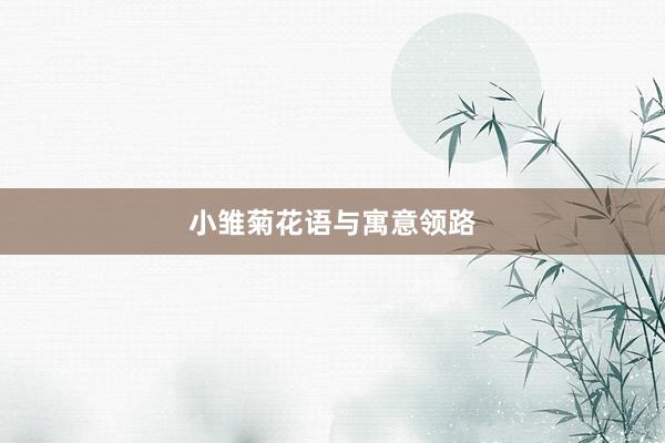 小雏菊花语与寓意领路