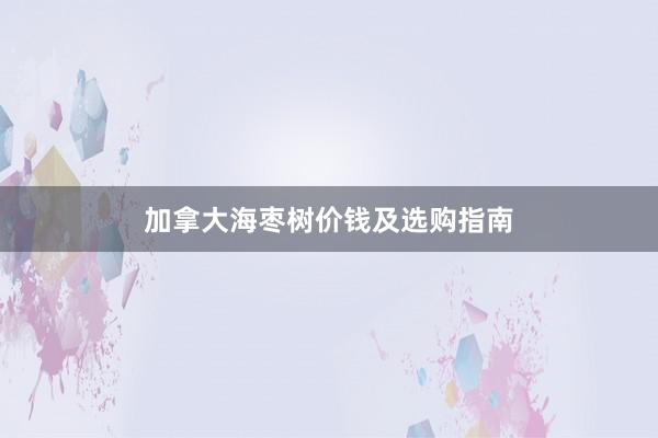 加拿大海枣树价钱及选购指南
