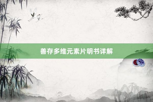善存多维元素片明书详解